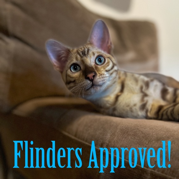 Vintage Burberry Turquoise Pig Suede Jacket UK 8 / US 6 - Picture 15 of 15